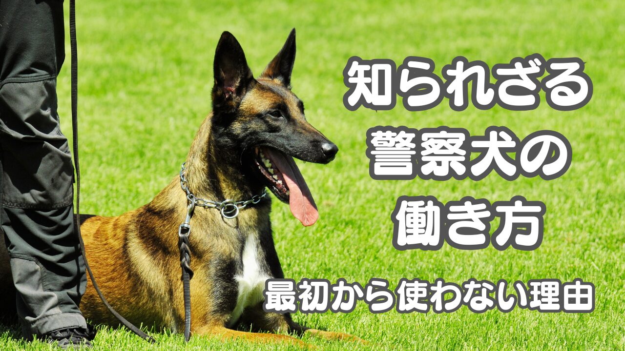警察犬