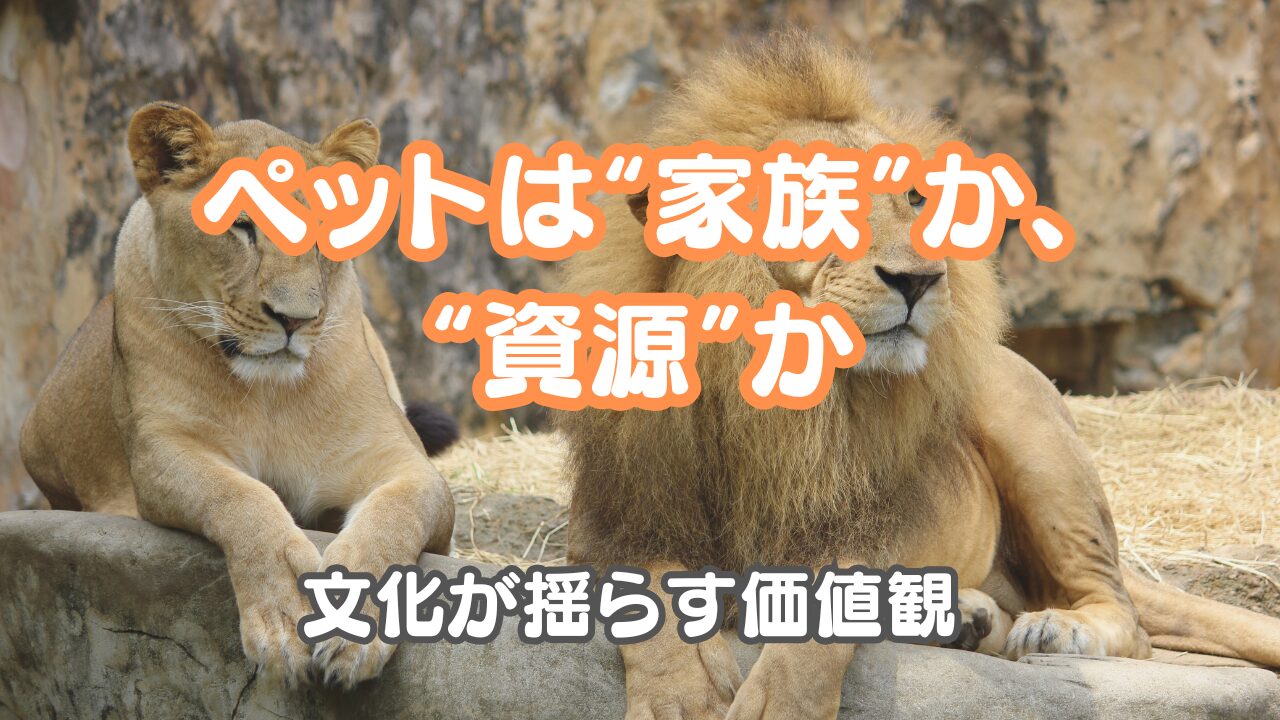 オールボー動物園　ペットを肉食動物の餌に